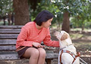 相模原市の脳神経外科で信頼できるクリニックを徹底解説2025年最新情報