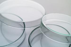 2026年最新版：赤羽でインフルエンザ予防接種を効果的に行うための完全ガイド